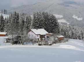 Lila Villa, Flachau, Österreich, Flachau, Österreich